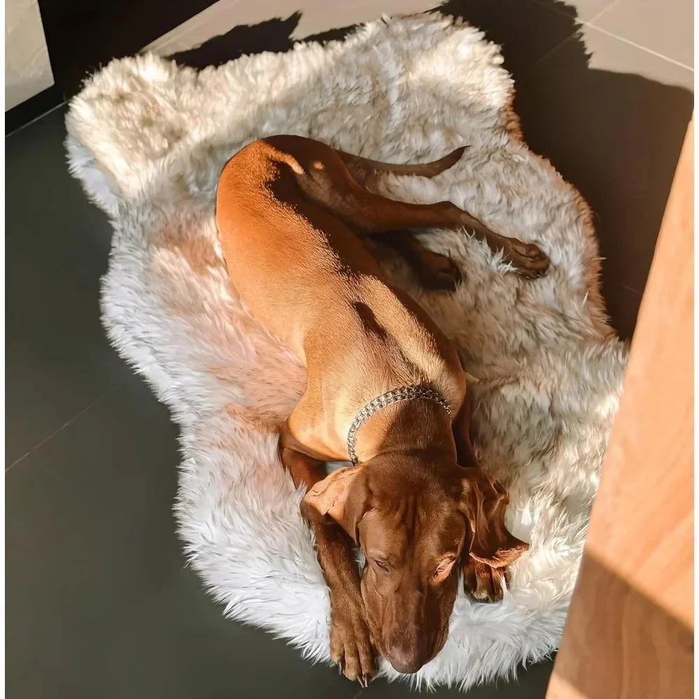 CozyCloud Orthopedic Memory Foam Dog Bed