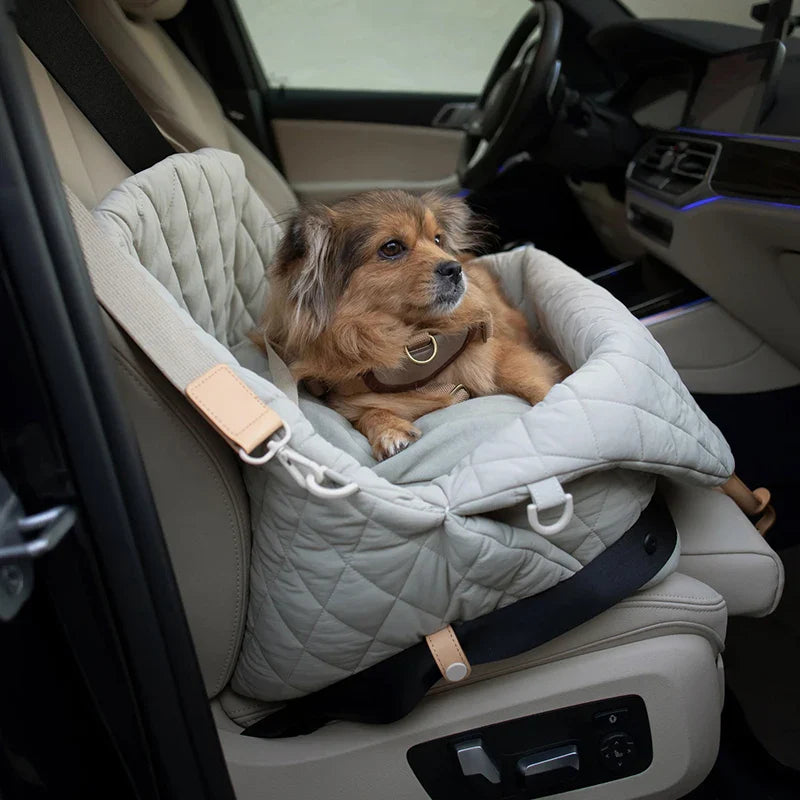 IvyLux Voyager- Premium Pet Carrier
