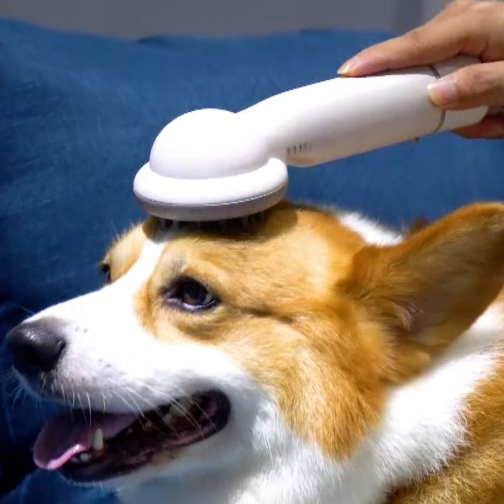 Pet-Friendly Grooming Kit | Vacuum Cleaner with Pet Hair Brush
