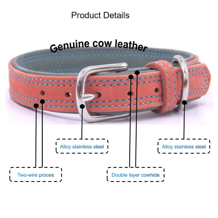Genuine Leather Pet Leash Collar Set | High Quality Durable Luxury Set