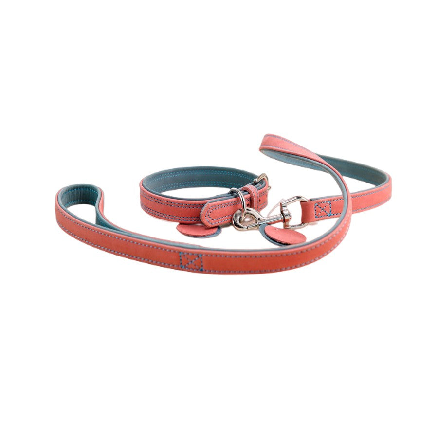 Genuine Leather Pet Leash Collar Set | High Quality Durable Luxury Set
