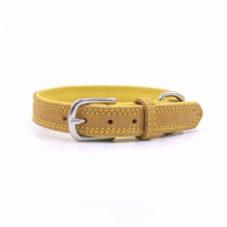 Genuine Leather Pet Leash Collar Set | High Quality Durable Luxury Set